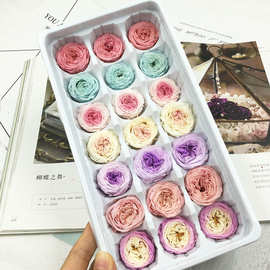 教师节永生花奥斯汀小号2-3cm巧克力玫瑰diy七夕手工婚礼鞋盒材