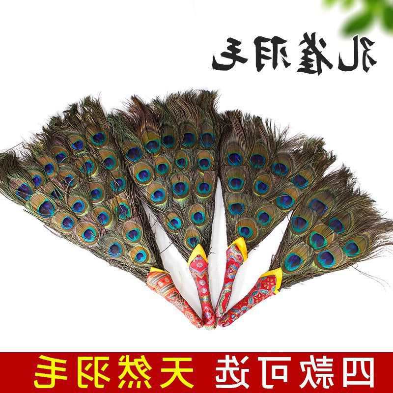 藏式孔雀羽毛装饰品贲巴壶宝瓶孔雀吉祥草天然羽Y毛扇花瓶装