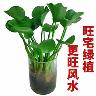 �ļ��_����ؔԪ������ˮ���������ܿ͏d�l���g�k����ˮ��ֲ������