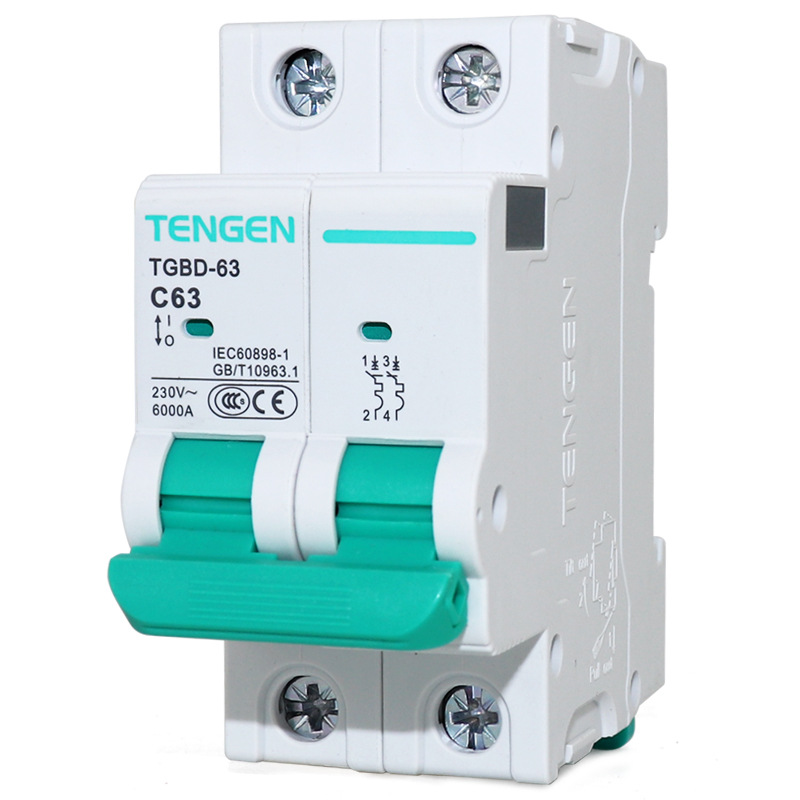 Tianzheng TGBD - 63 interruptor de aire 2p interruptor 1p hogar 3P trifásico 32a pequeño disyuntor 100a vacío image 6