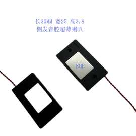 深圳工厂超薄侧发声腔体喇叭25*30MM 8欧1瓦智能AI语音人声喇叭