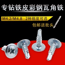 钻方管镀锌钢自贡螺丝自攻螺钉蘑菇头钻尾大帽燕尾高强度扁头