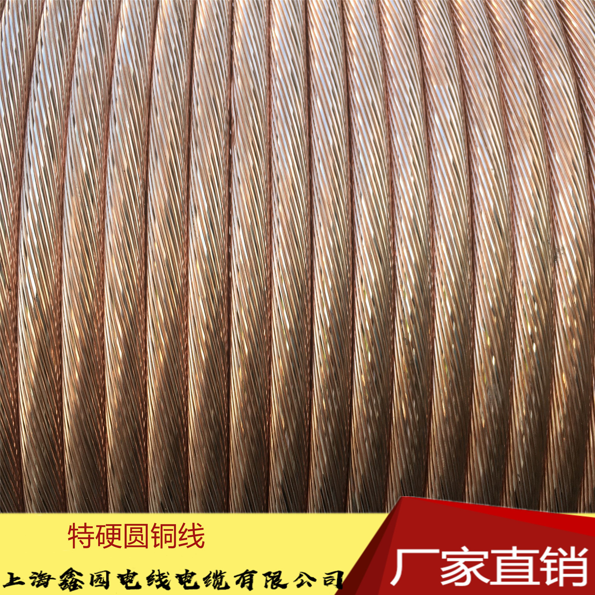 接地硬铜绞线TJ185/95 抗拉力特硬圆铜线 18老店上海电缆厂家直销