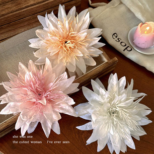 �����L��������l�AŮ�����^������l�߅�l����������A���^�