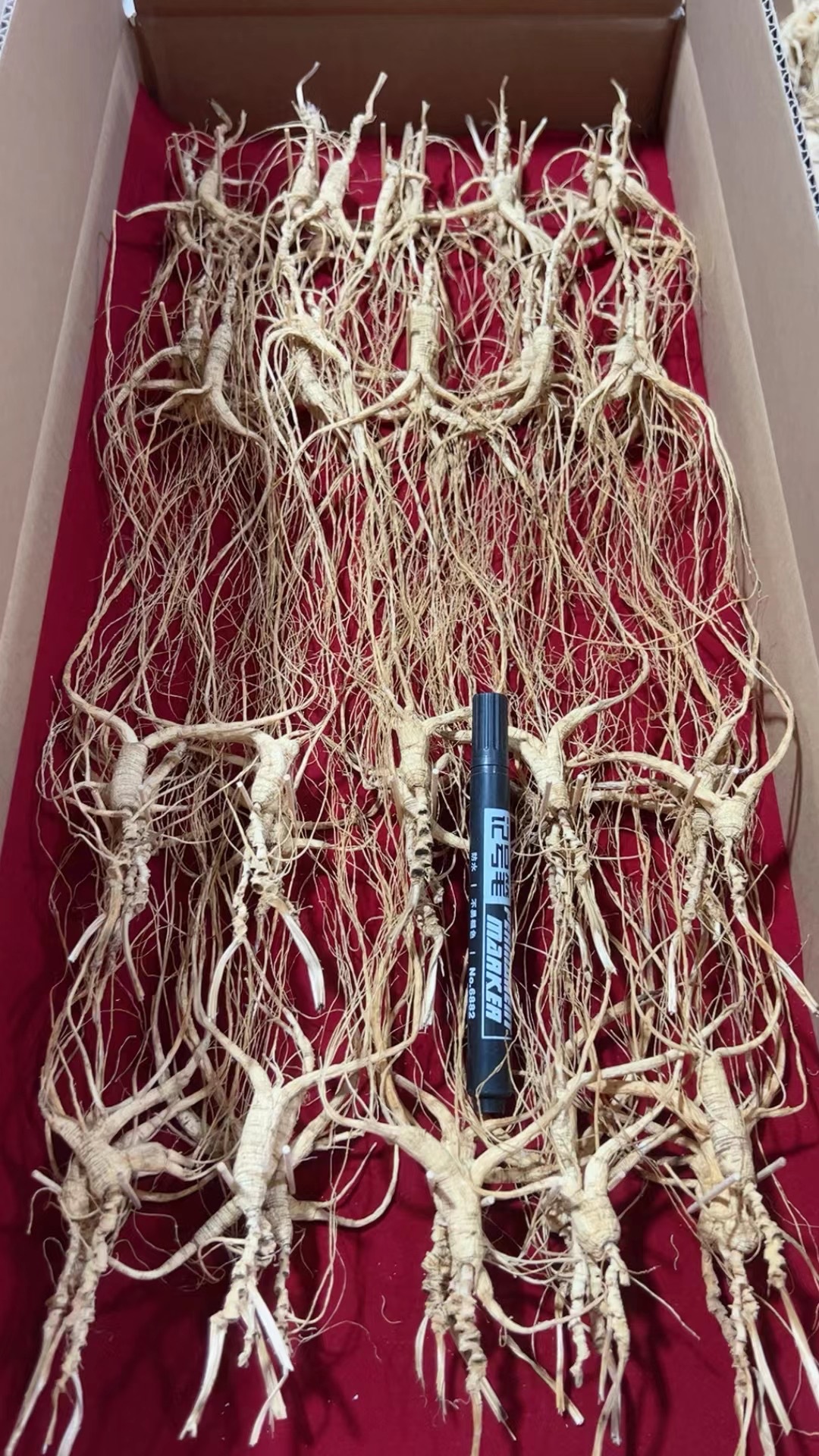 95115072-AEC7-4DFF-BF5D-21E575