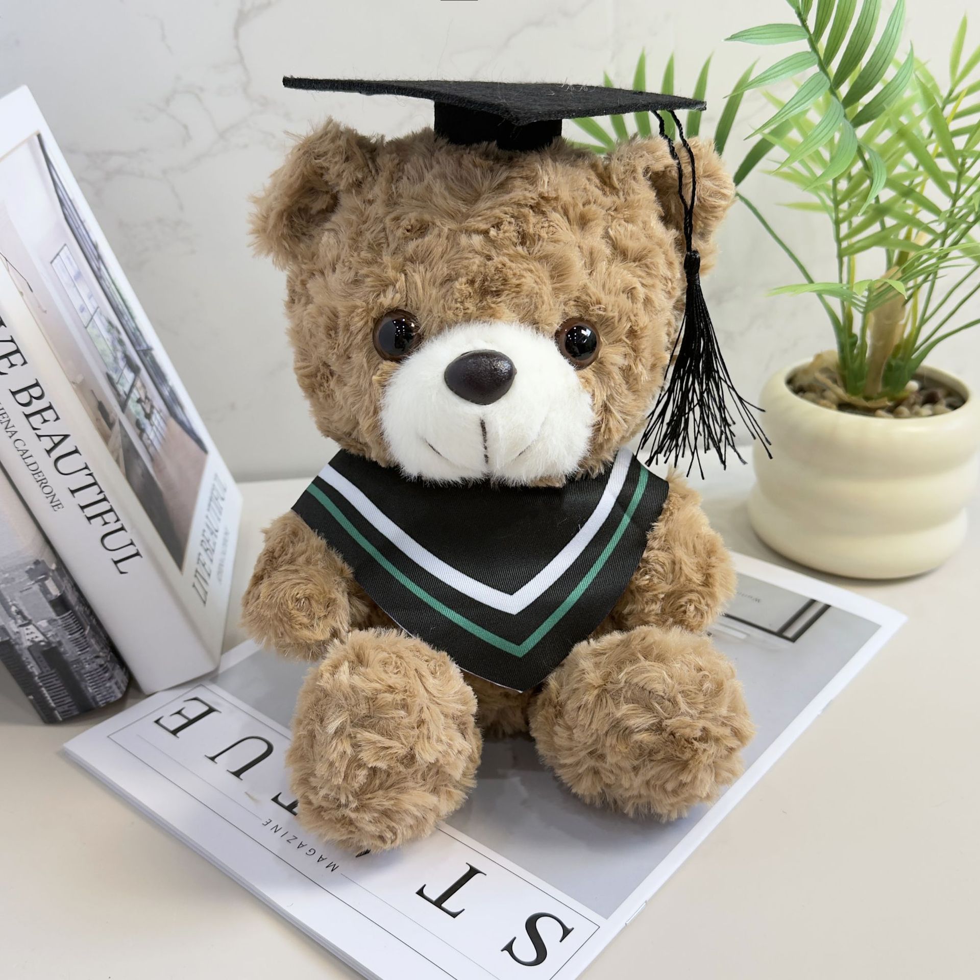 Doctor sombrero oso Teddy Teddy