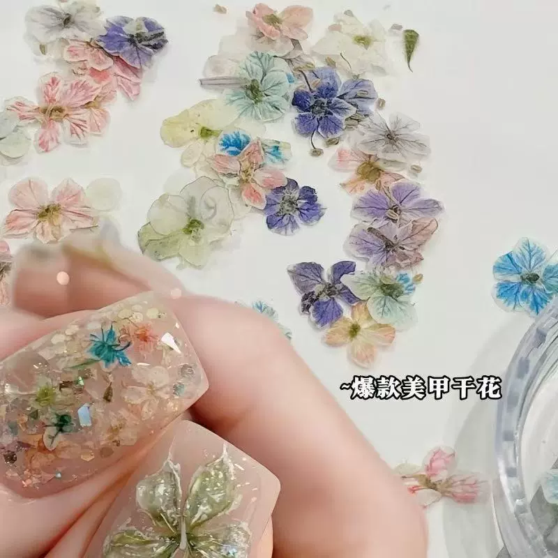 日系ins风美甲迷你干花blc同款混彩天然压花干燥真花苞穿戴甲饰品