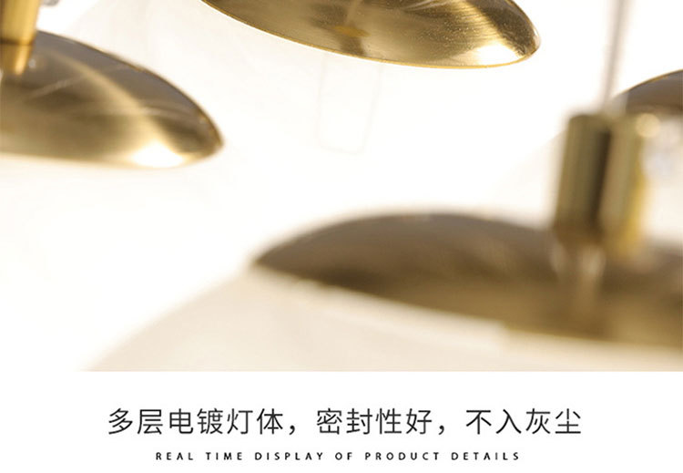 DH1003吊灯后现代详情_22.jpg