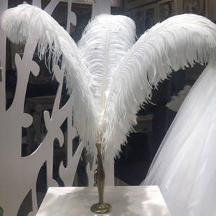 �S��ֱ�N��ɫ�r�Bë15-80cm��̨����ë�b��û�c�r�B��ë���l