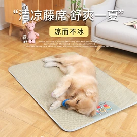 狗狗窝/笼/垫;猫猫窝/笼/垫;猫猫玩具