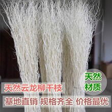 天然龙柳干枝柳条干花干树枝装饰插花简约艺术婚庆拱门藤椅编织