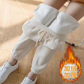 雪尼尔休闲运动裤子女秋冬宽松加绒束脚哈伦裤加厚显瘦萝卜奶奶裤