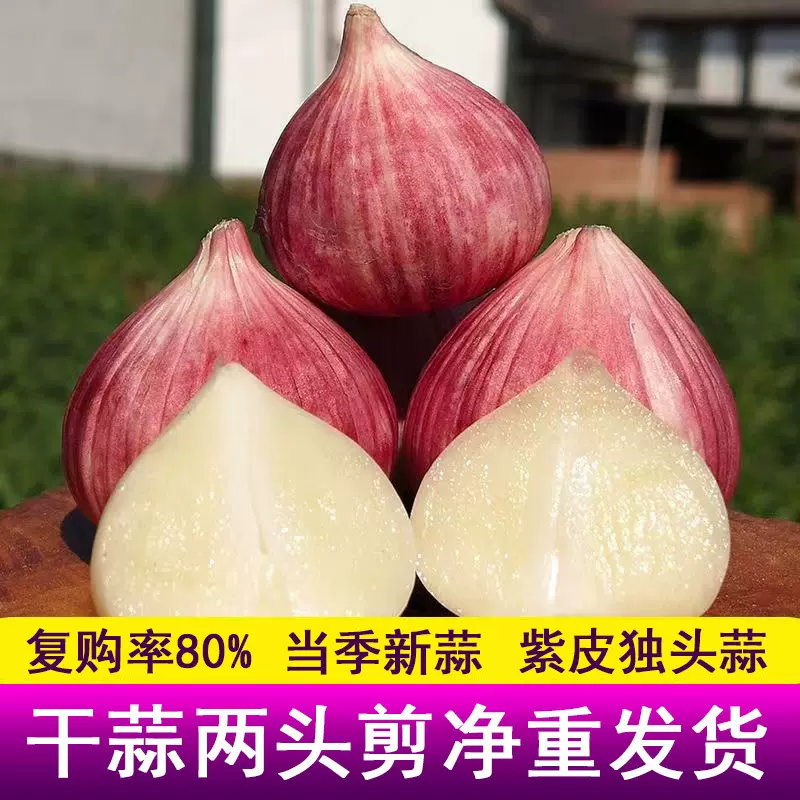 独头蒜干云南紫皮大蒜新鲜大蒜干批发价红皮紫一件批发速卖通代发