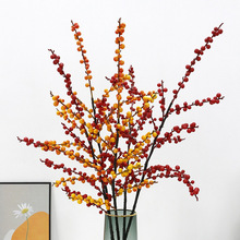 õ��ϲ�c���涬��t���lؔ�� �Ҿ��҃����긣Ͱ�b[���t�{��