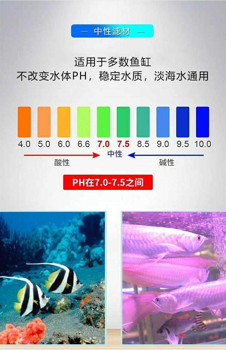 e300d69e-0efc-4ff7-af31-38fb61cf3591.jpe