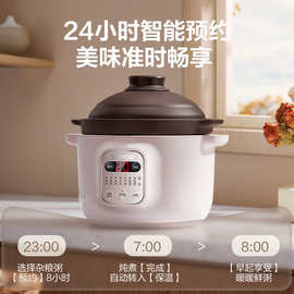 苏泊电炖锅电炖盅电砂锅煲汤锅炖汤锅煮粥锅电煮锅紫陶 DG20YC815