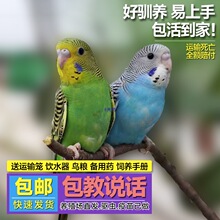 �W�^���B���ﻢƤ�W�^���W�fԒ���B����B녰�С�ͼ��BС�B���w