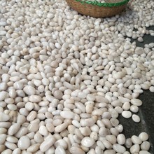 ��ɫ�����Z��ʯ��Ȼ�b��껨ʯ�@�ּ��b�����껨ʯ���Ͼ�ɳʯE18