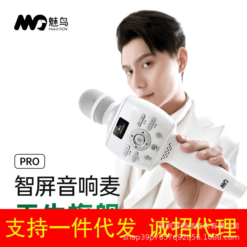 Charming Bird Smart Screen Audio Microphone Wireless Bluetooth Mobile Phone Live Broadcast of National K-song Shenmai Home Outdoor Loudspeaker