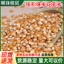 ����С���׬F؛���l ���׻�ԭ�ϱ���С������ ���α�������ɢ�b