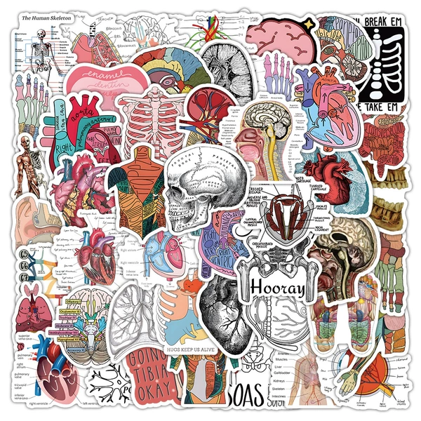 Medical Student Notes-53pcs