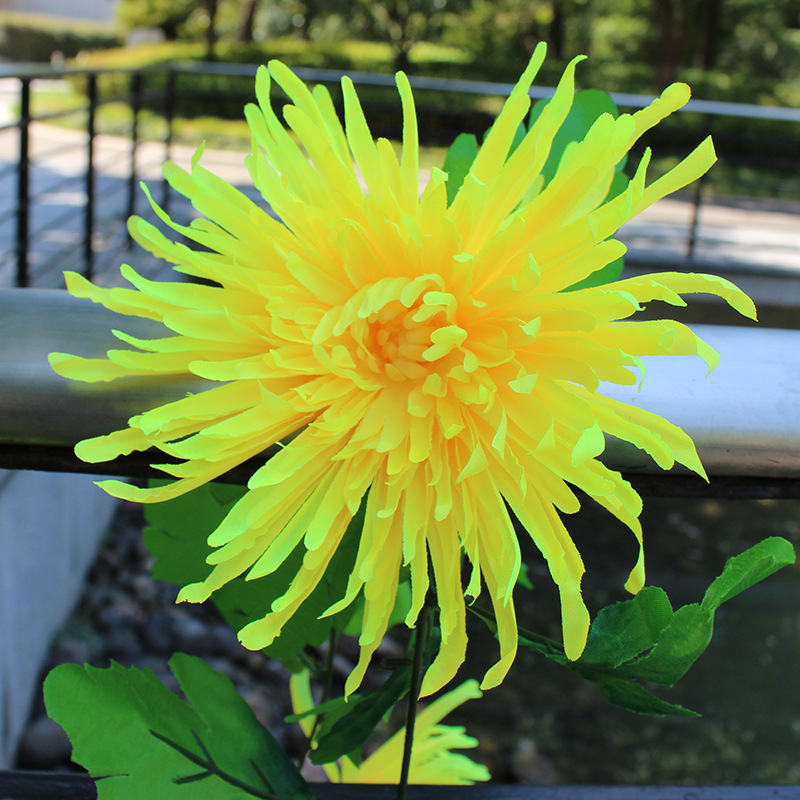 Yellow, 2.4meter