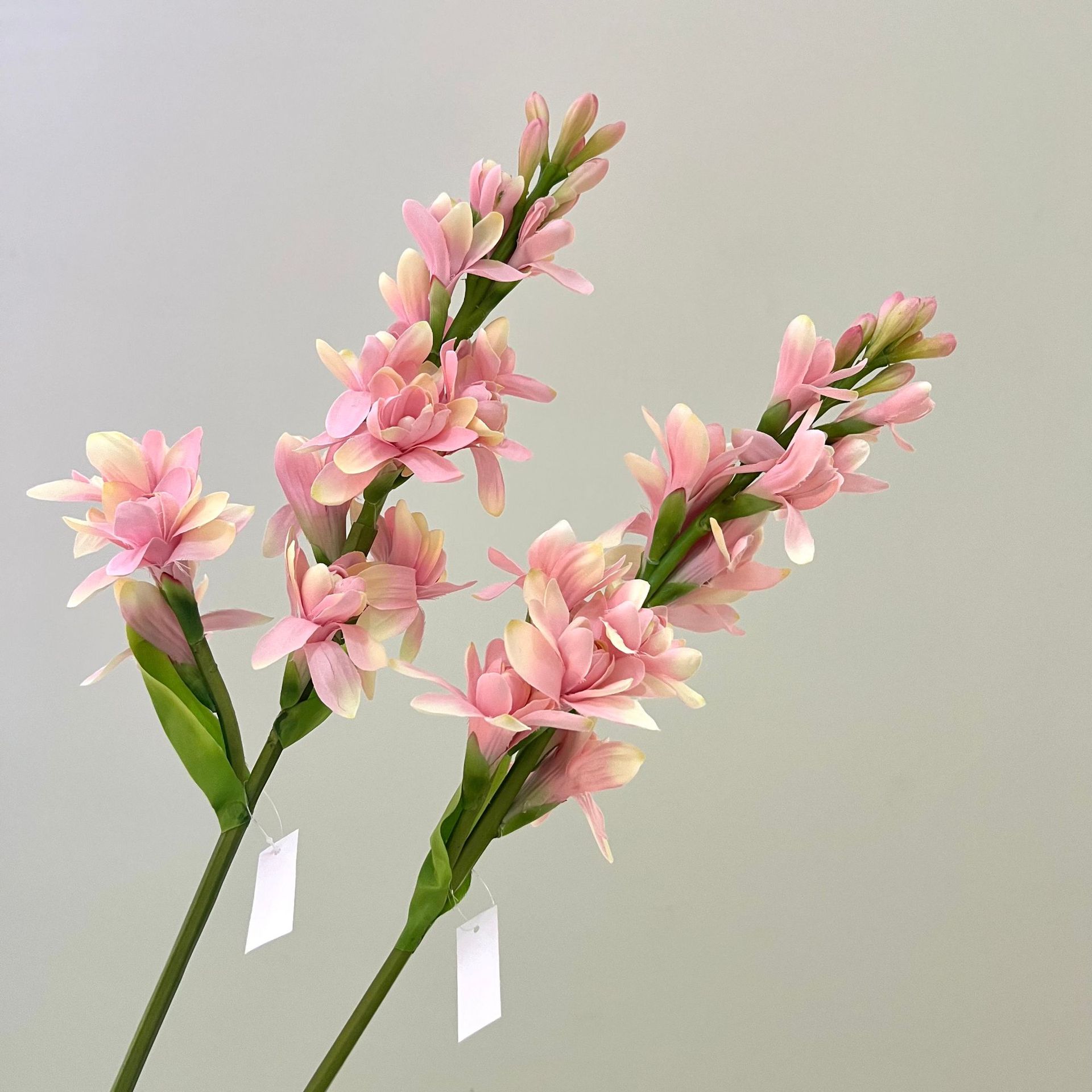 WeChat picture_20240613163150.jpg