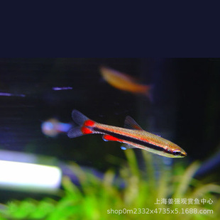 �Ꭷ�^�p�~�t���U�P�~���y���U�P��������U�P�~���w�����~�t���~