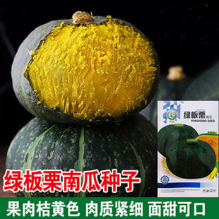 �G������ϹϷN���ձ������ϹϷN�ѷ���Сؐؐ�߲��ļ��紺��N��