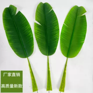 高仿真植物手感过胶大芭蕉叶假绿植树叶子摄影室内外装饰插花装饰