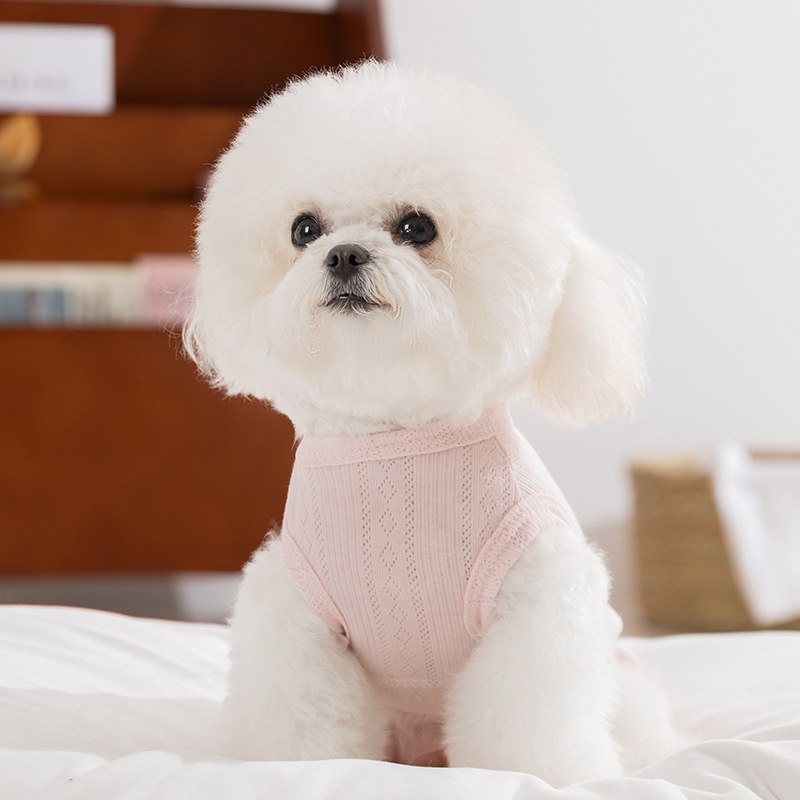 Bolso del tesoro con etiqueta de tela rosa simple y de moda, panza, perro pequeño, estilo fino de verano, perro mascota, ropa de perro de corte al por mayor image 2