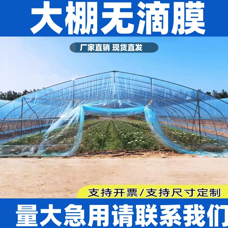 Тепличная пленка селекции черно-белая пленка прозрачная пленка Non капает пленка зеленая и белая пленка полиэтиленовая пленка теплоизоляция Солнцезащитная теплоизоляция зеленый хранения