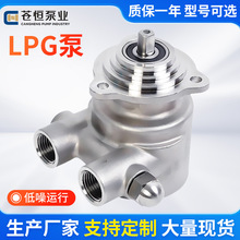 不锈钢LPG液化气叶片泵增压泵甲醇燃烧机专用泵甲醇泵液化石油气