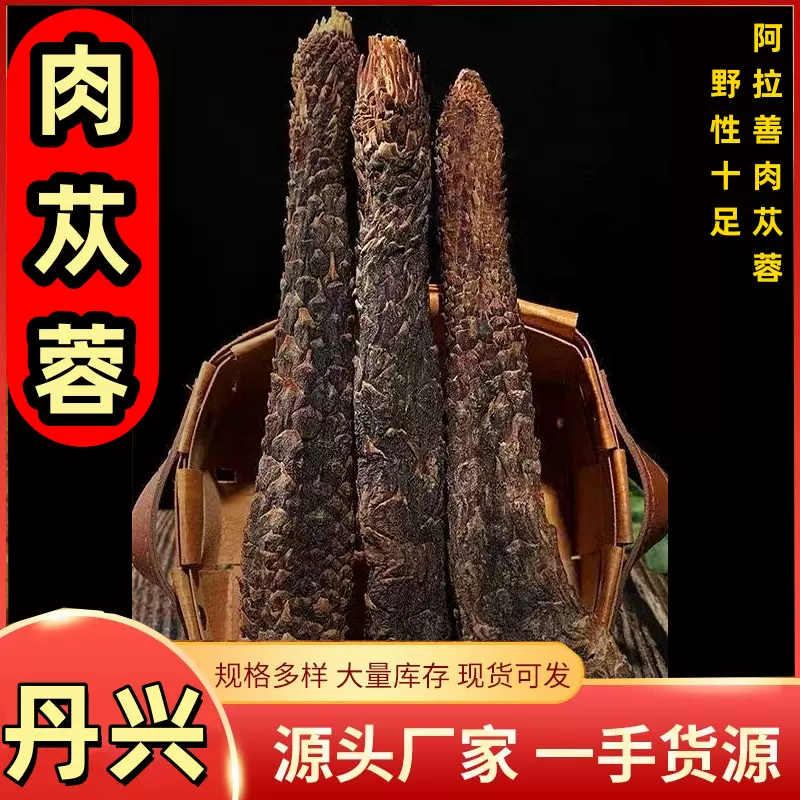 肉苁蓉批发中药材产地货内蒙古阿拉善片泡酒料量大从优泡酒佳品