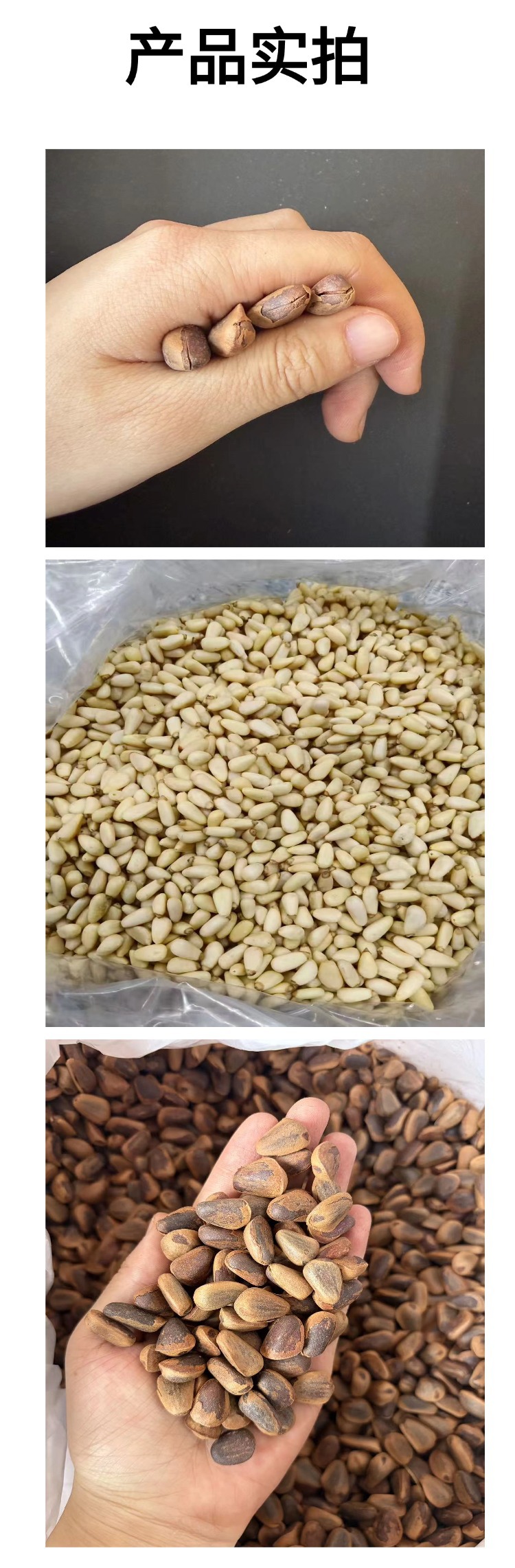 Pine Nut Kernels Song Zi Ren Shelled Ready to Eat Snack 500g preparation