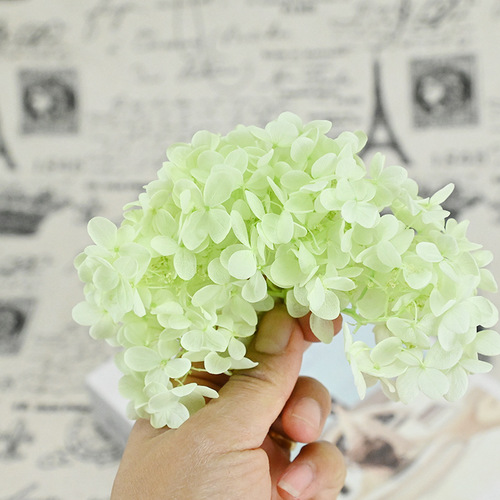 Magic flower eternal flower domestic A-grade wooden hydrangea 4 grams diy material package jersey handmade flower small Valentine's Day gift