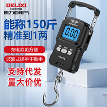 德力西电气手提电子秤便携式家用小型电子吊秤高精度称重手提秤