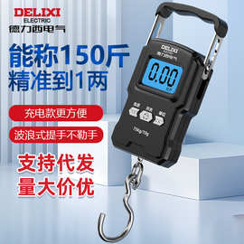 德力西电气手提电子秤便携式家用小型电子吊秤高精度称重手提秤