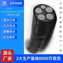 �͉���|���X��|YJLV4*240+1�����|�S���X��|���l�r��