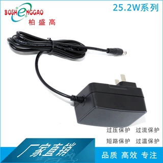 电源适配器 RCM 六极能效 墙插式 电压转换器 SAA RCM 阿根廷澳规