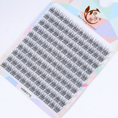 Eyelash Poetry Lazy AB Segmented Fishtail False Eyelashes Black Stem Transparent Stem 10 Rows Large Capacity Comic Single Cluster Eyelashes
