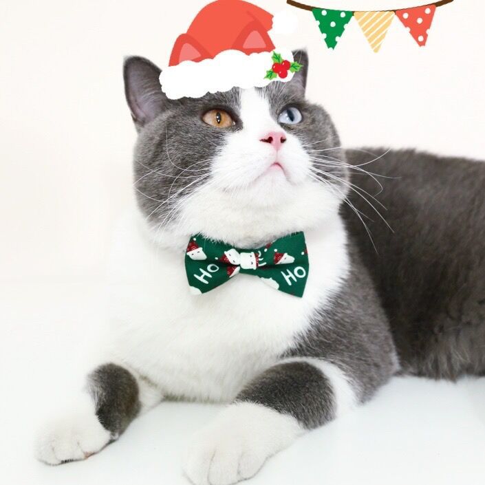 Collar de arco de mascota ajustable anti-asfixia Papá Noel guirnaldas collar de gato perro bib