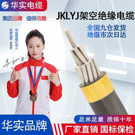 国标电缆厂家批发架空绝缘导线JKLYJ/JKLGYJ绞线电线电缆铝电缆线