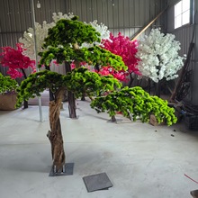 ӭͼɘ҃ʽ쾰ƵꙻP^߷֦