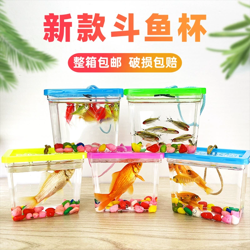 Новая форма бокал для рыбы переносная бутылка для рыбы бутылка для черепахи квадратный пластиковый маленький аквариум для рыбы коробка для бетта прозрачная коробка для домашних животных медуза чашка