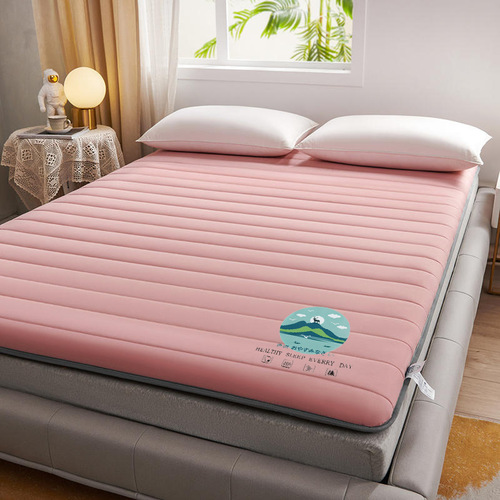 Soy fiber mattress mattress bed and breakfast tatami floor sleeping mat single and double rental dormitory soft mattress wholesale