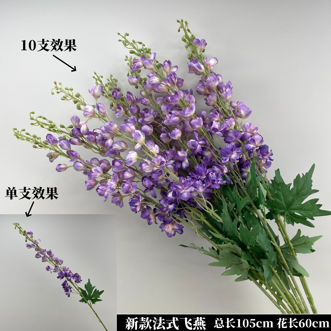 보라색 프랑스 제비