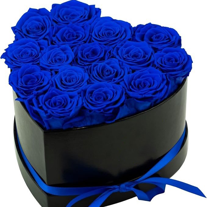 16송이 (블랙 박스 + 사파이어 블루 플라워)