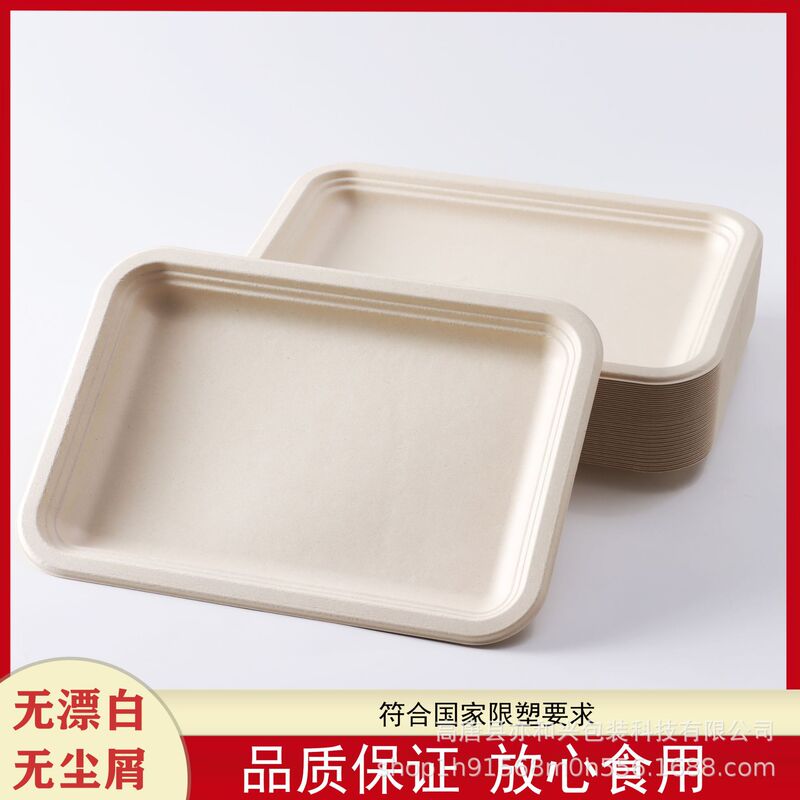 Disposable Plate Barbecue Paper Plate Commercial Bagasse Long Picnic Tray French Fries Snacks Dinner Plate