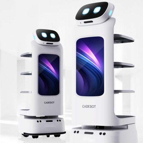 Robot de servicio de entrega de múltiples escenas Robot de entrega de catering Robot de recepción de restaurantes Robot de recepción Youbao